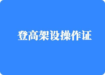 啊~~鸡巴操我登高架设操作证